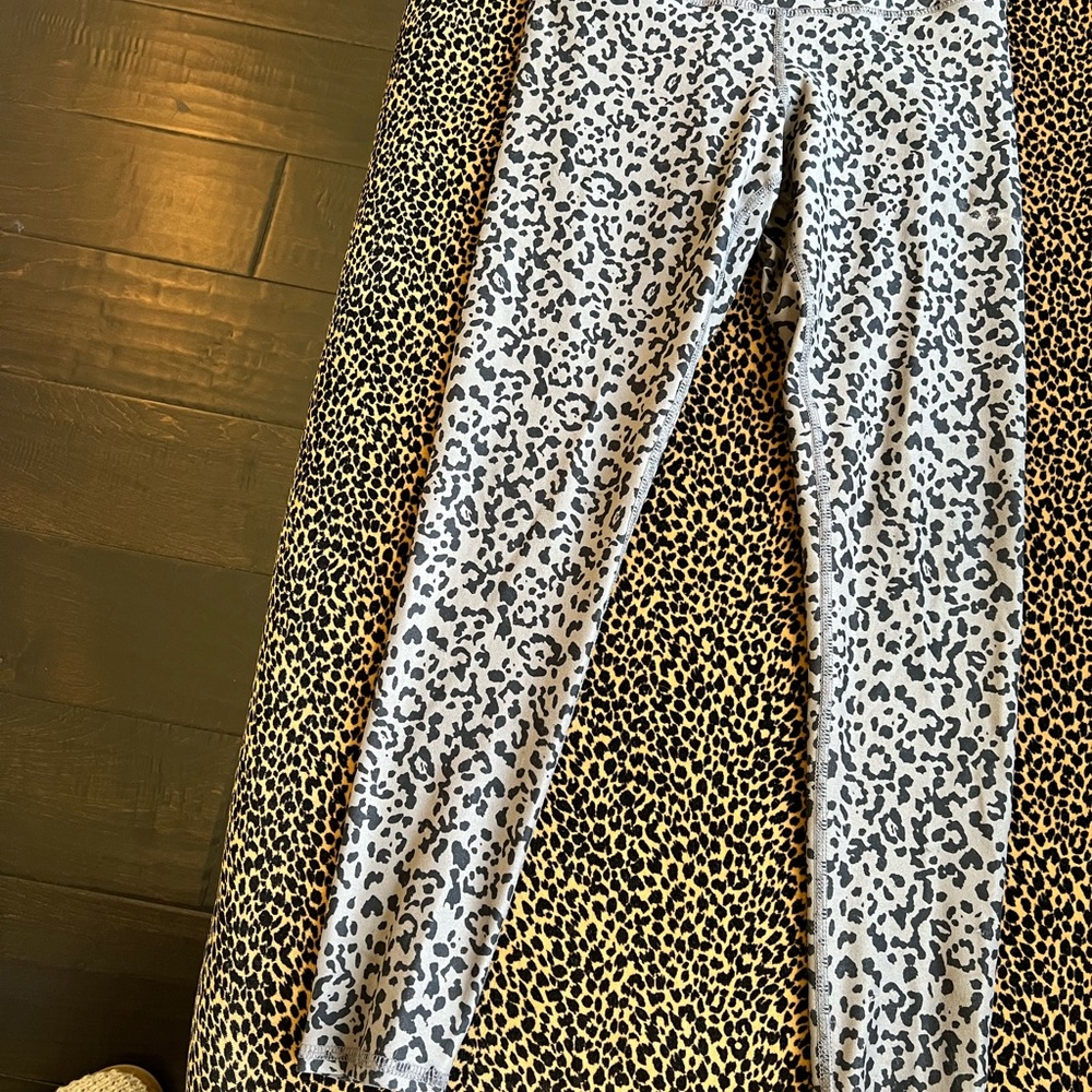 Evolution and Creation Black and Gray with Animal Print
